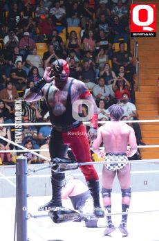 Fascinnate ir a ver la lucha libre profesional