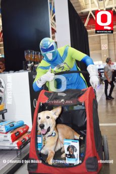 Pay de Limón con su superheroe ZadrigMan