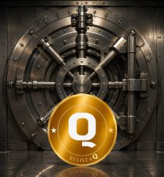 El valor de REVISTA Q