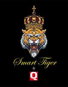 Smart KING  REVISTA Q