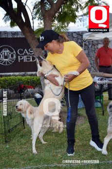 Atmósfera del evento