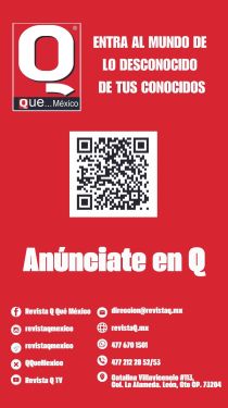 REDES Revista Q