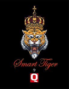 Smart KING  REVISTA Q